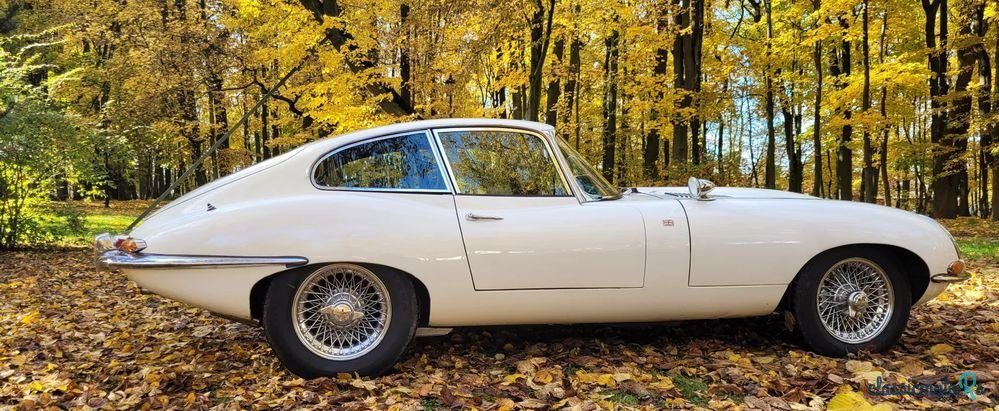 1965' Jaguar E-Type photo #1