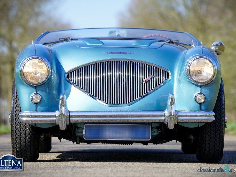 1956' Austin-Healey 100/4 photo #2