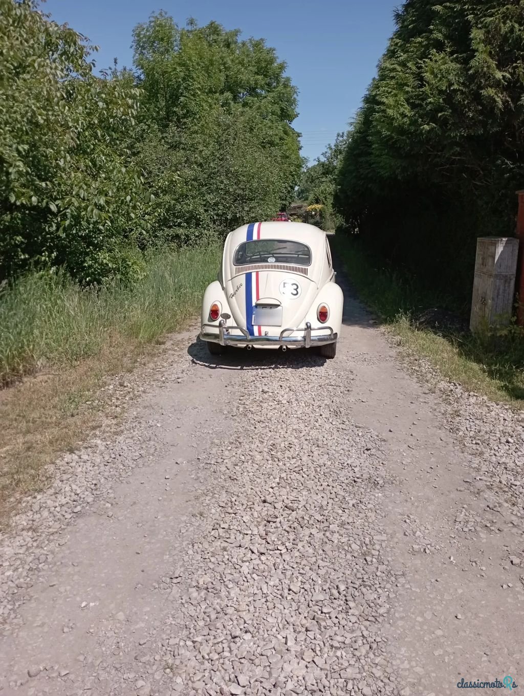 1966' Volkswagen Garbus photo #3