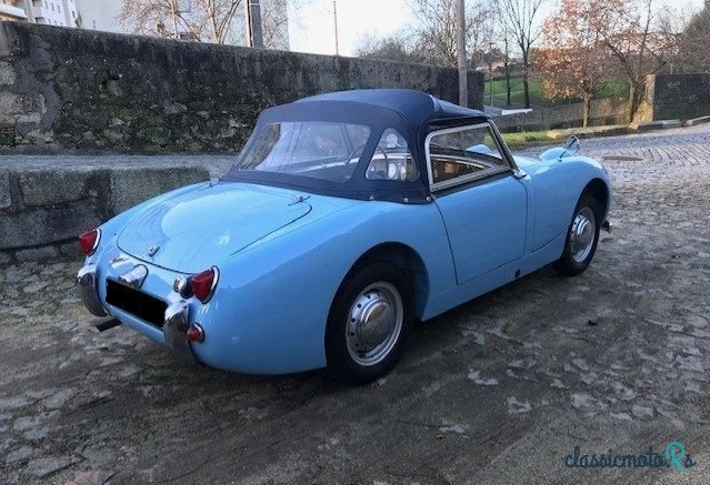1959' Austin-Healey Sprite photo #4