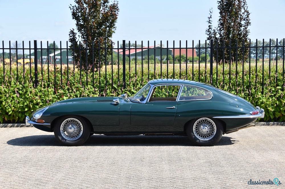 1962' Jaguar E-Type photo #1