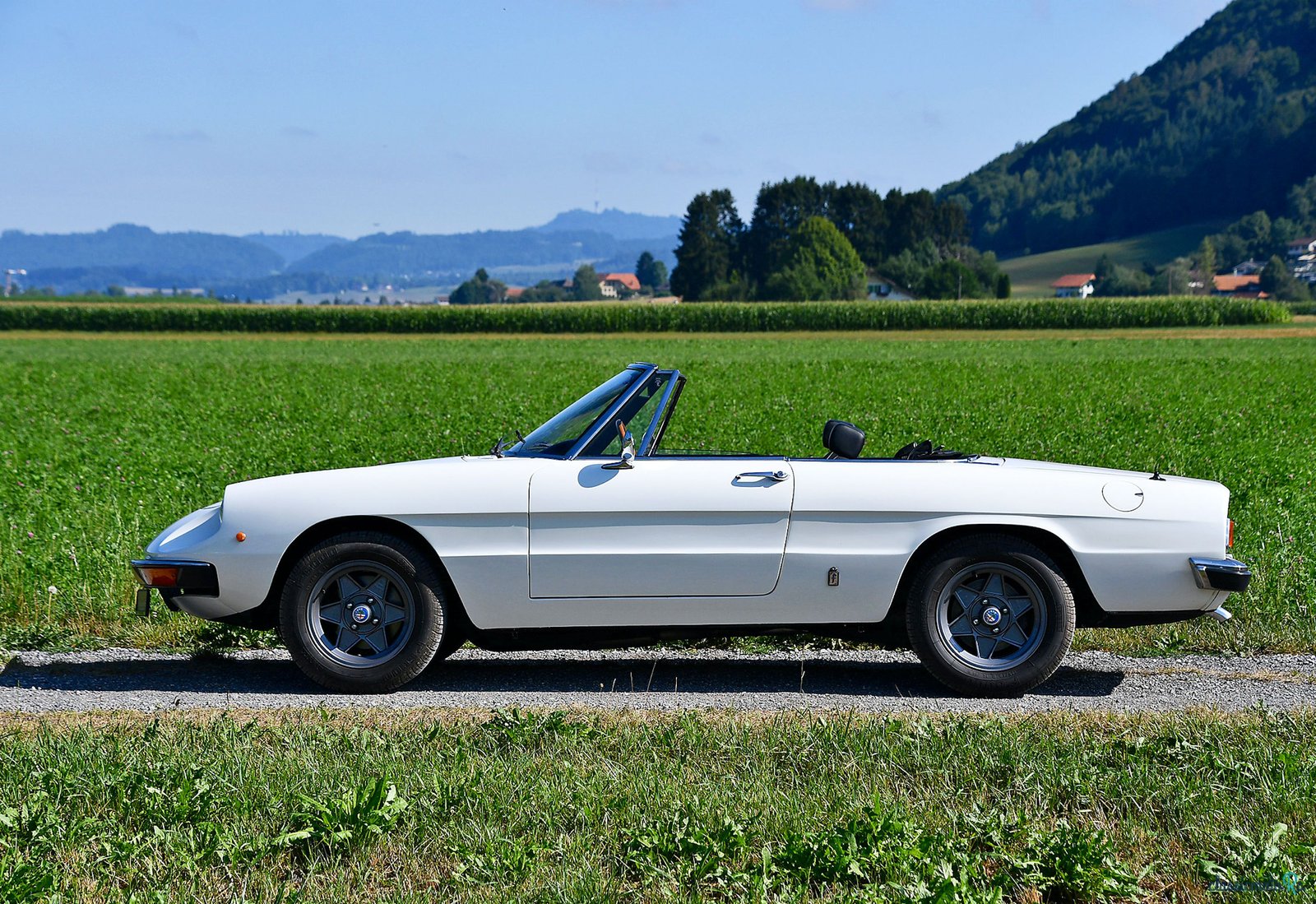1975' Alfa Romeo Spider photo #5