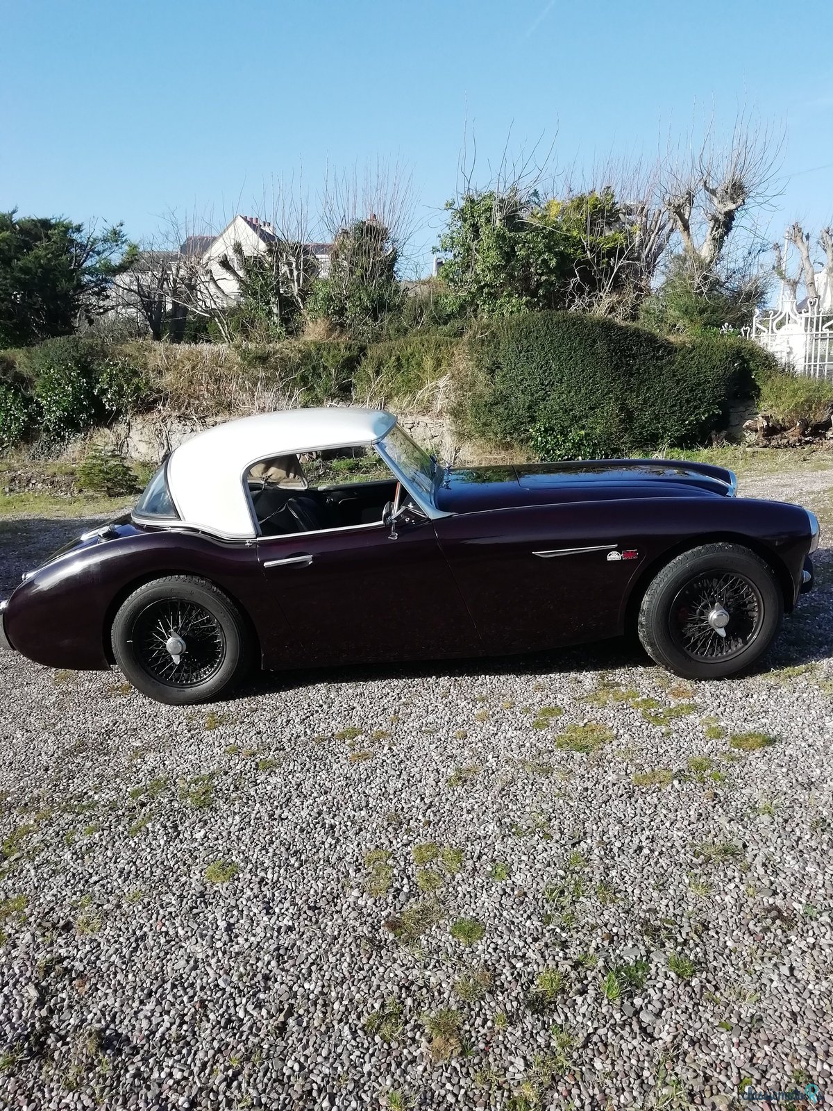 1959' Austin-Healey 100/6 Bn4 photo #1