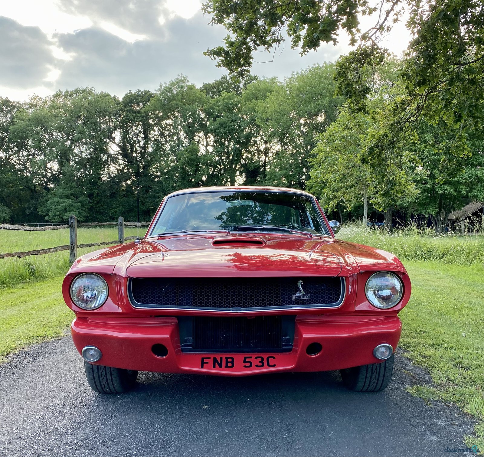 1965' Ford Mustang photo #2