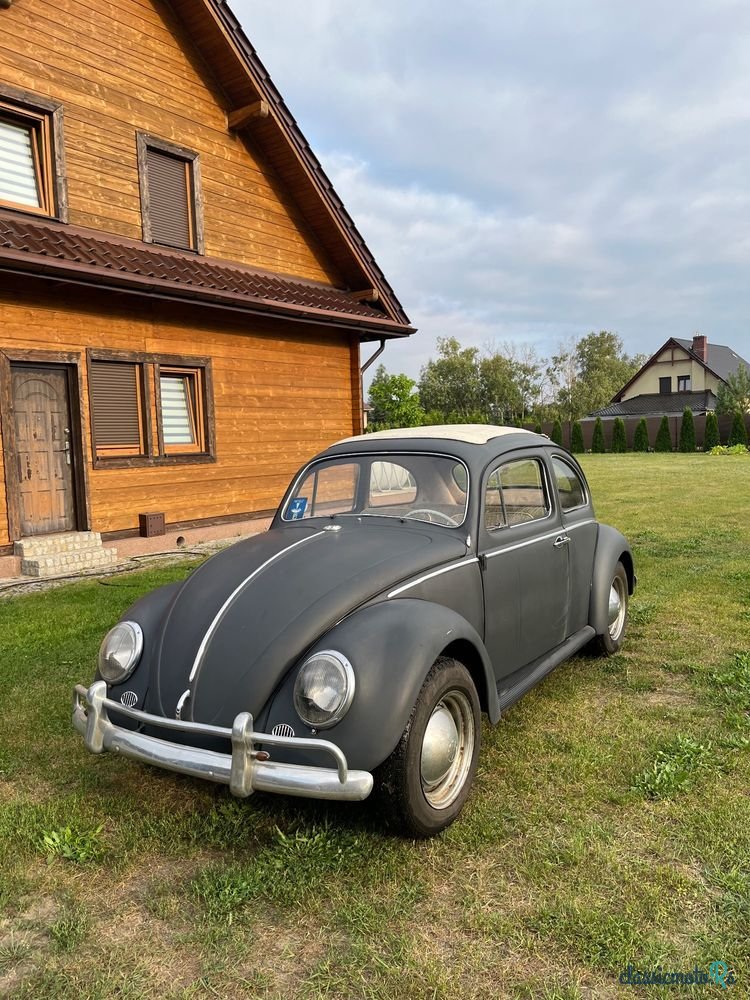 1962' Volkswagen Garbus photo #2