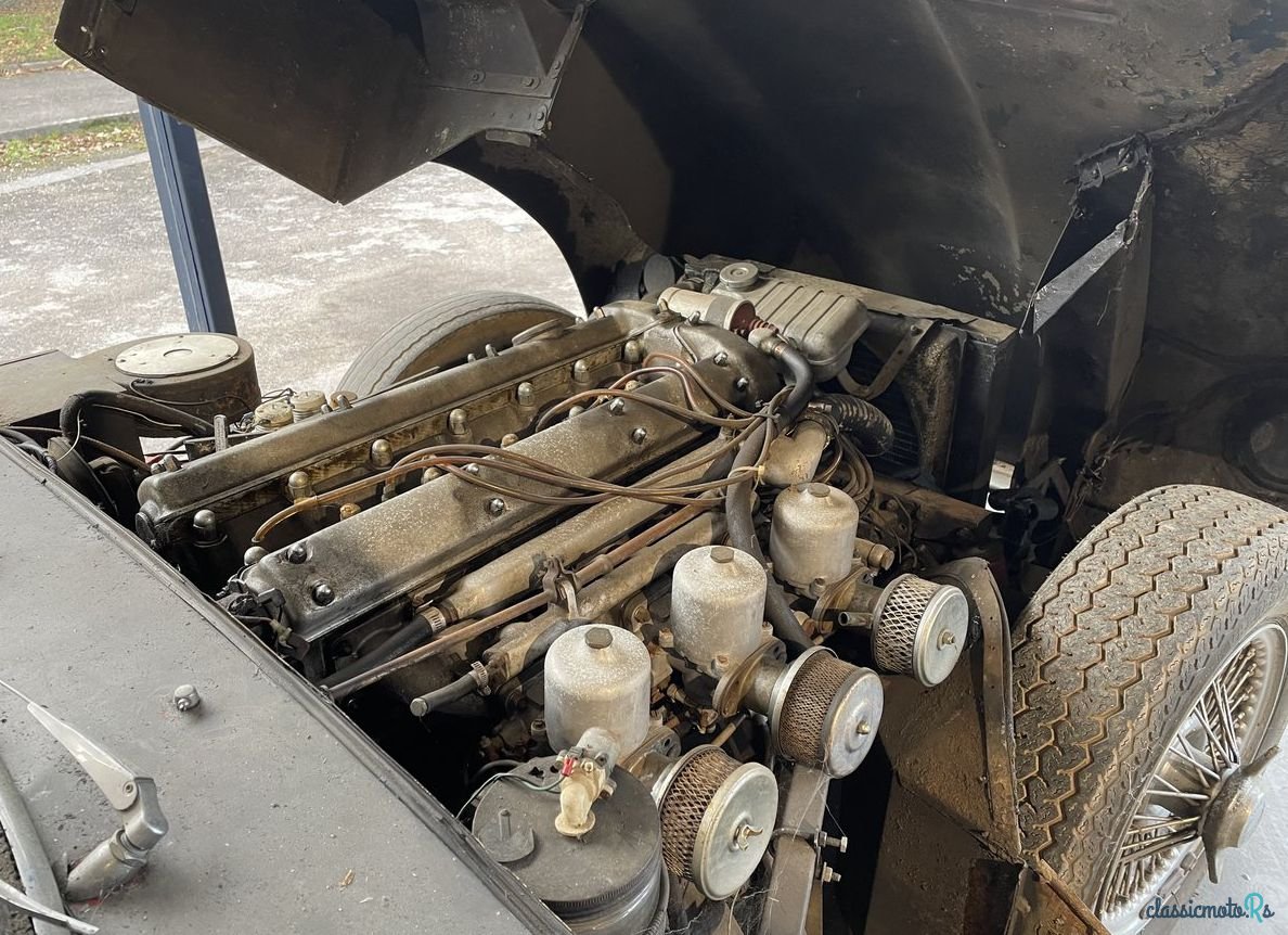 1962' Jaguar E-Type photo #5