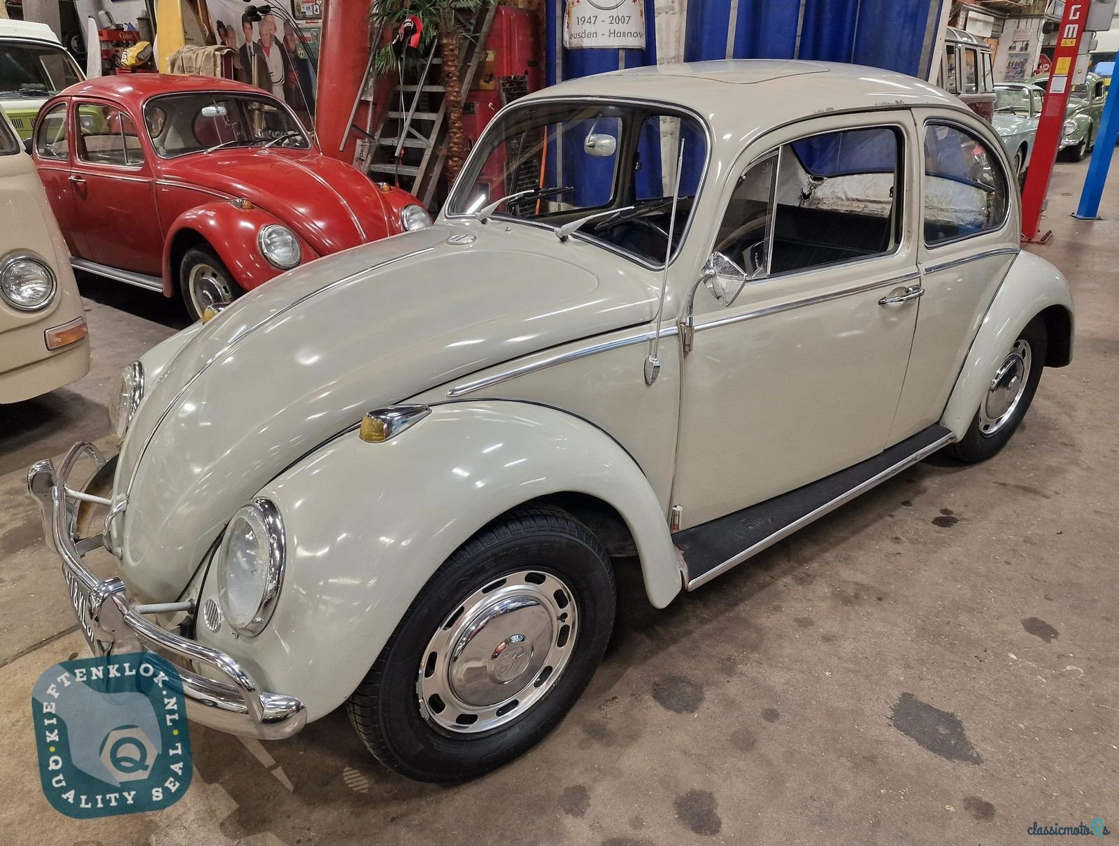 1966' Volkswagen Beetle photo #1
