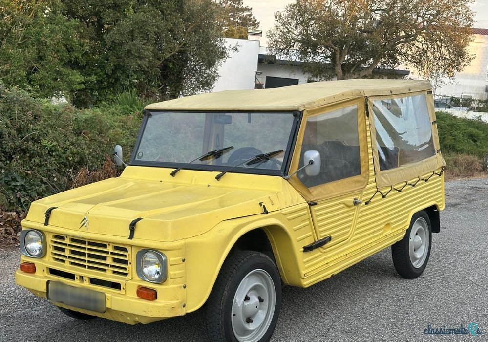 1984' Citroen Mehari photo #1