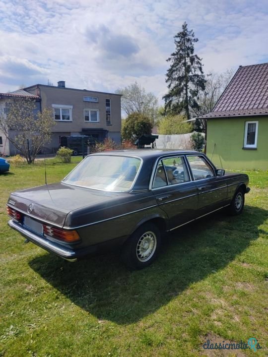 1978' Mercedes-Benz W123 photo #5