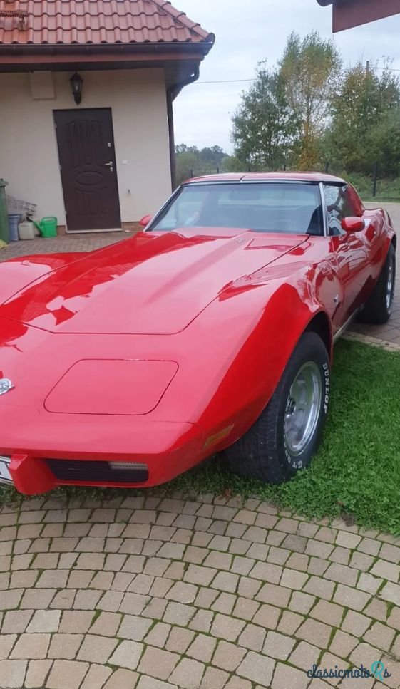 1978' Chevrolet Corvette photo #4