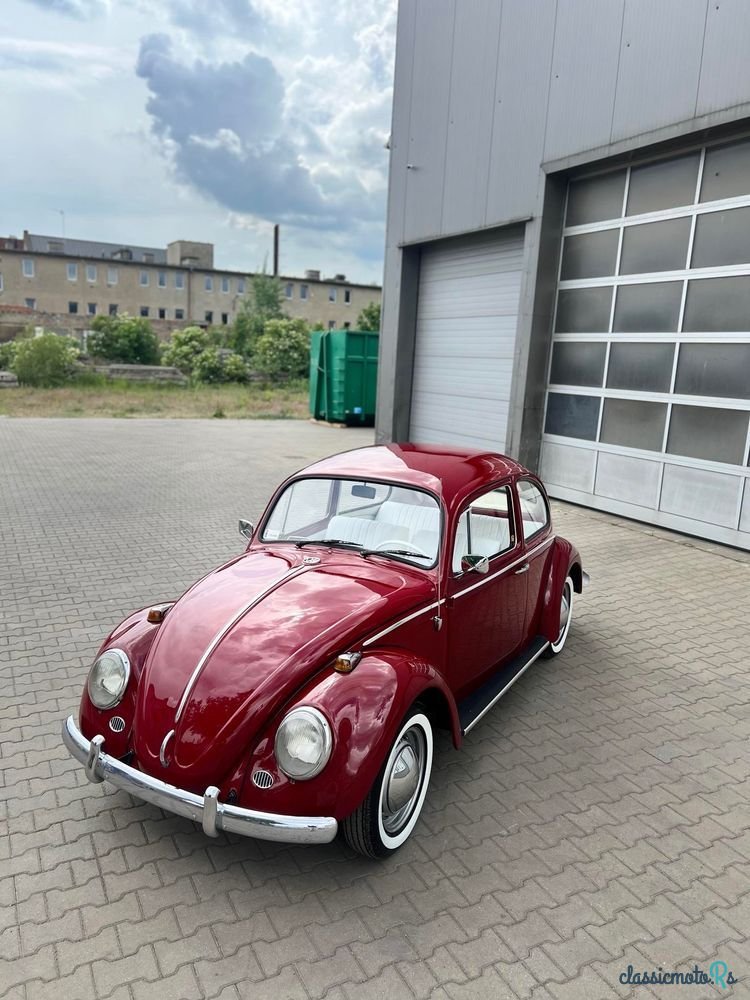 1965' Volkswagen Garbus photo #4