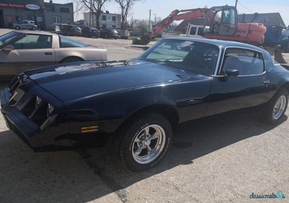 1979' Pontiac Firebird photo #4