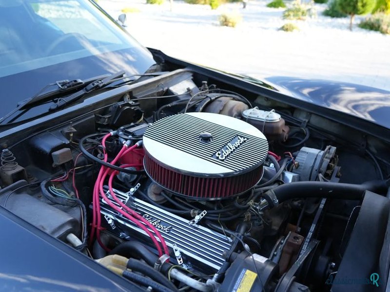 1977' Chevrolet Corvette photo #6