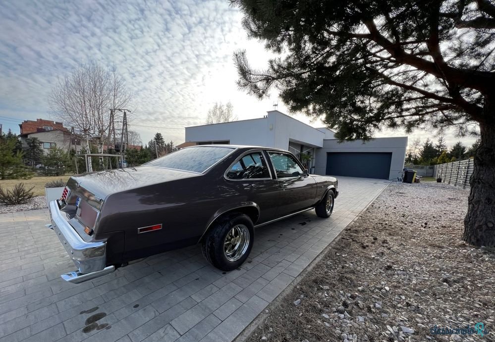 1979' Chevrolet Nova photo #5