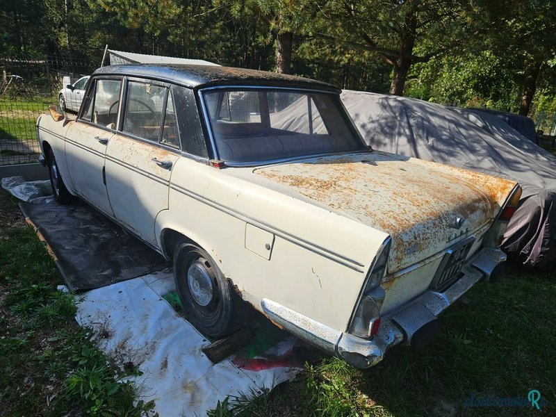 1963' Fiat 2300 Berlina photo #2