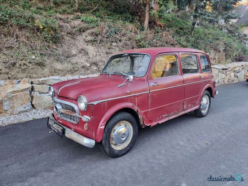 1955' Fiat 1100 photo #1