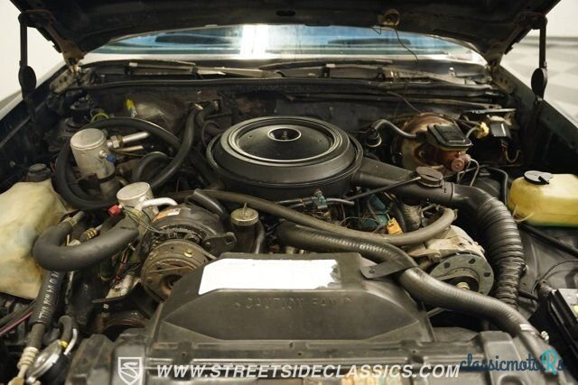 1981' Oldsmobile Cutlass photo #3