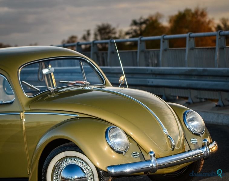 1956' Volkswagen Garbus photo #5