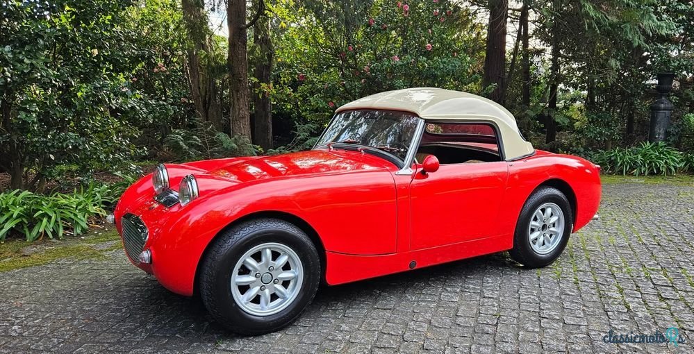 1961' Austin-Healey Sprite Mk I photo #1