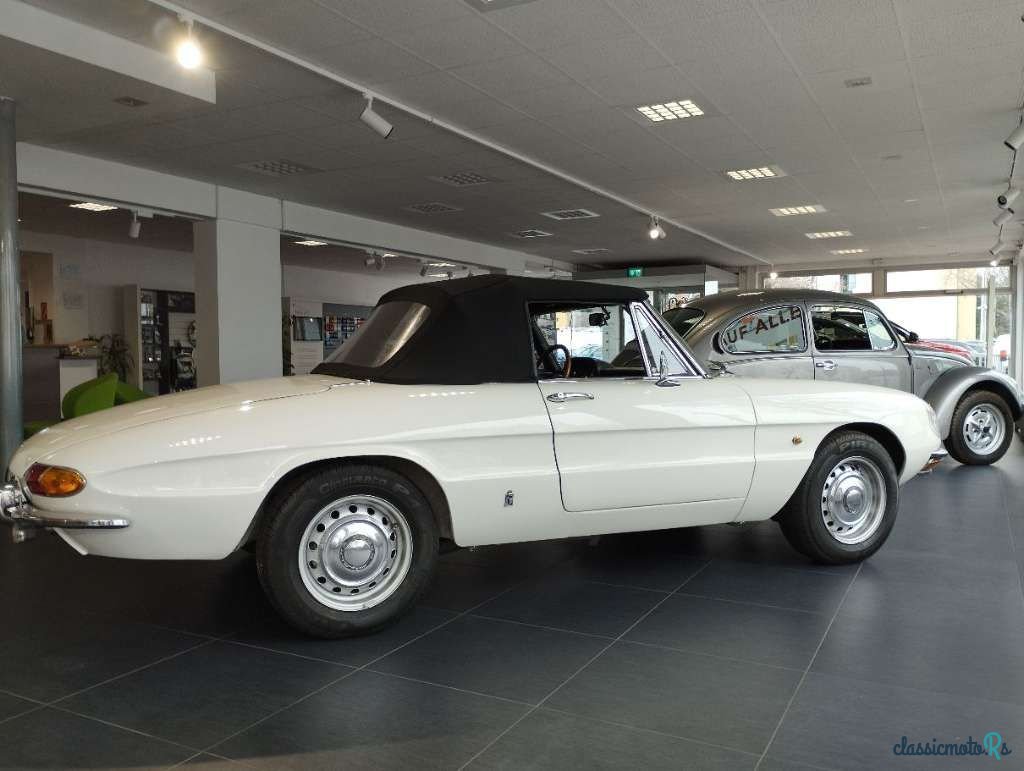 1968' Alfa Romeo Spider photo #5