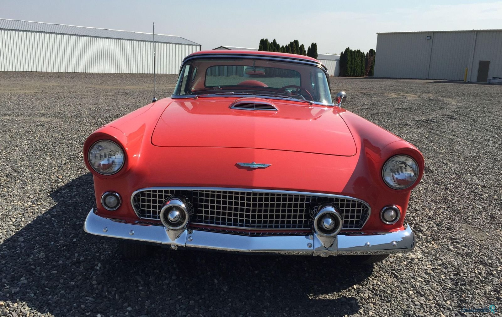 1956' Ford Thunderbird photo #1
