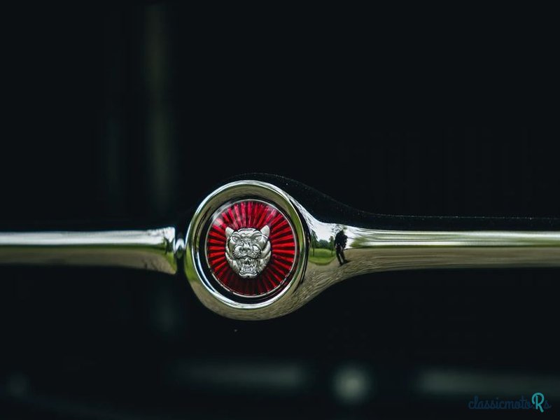 1964' Jaguar E-Type photo #3
