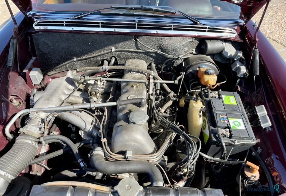 1967' Mercedes-Benz 250 photo #6