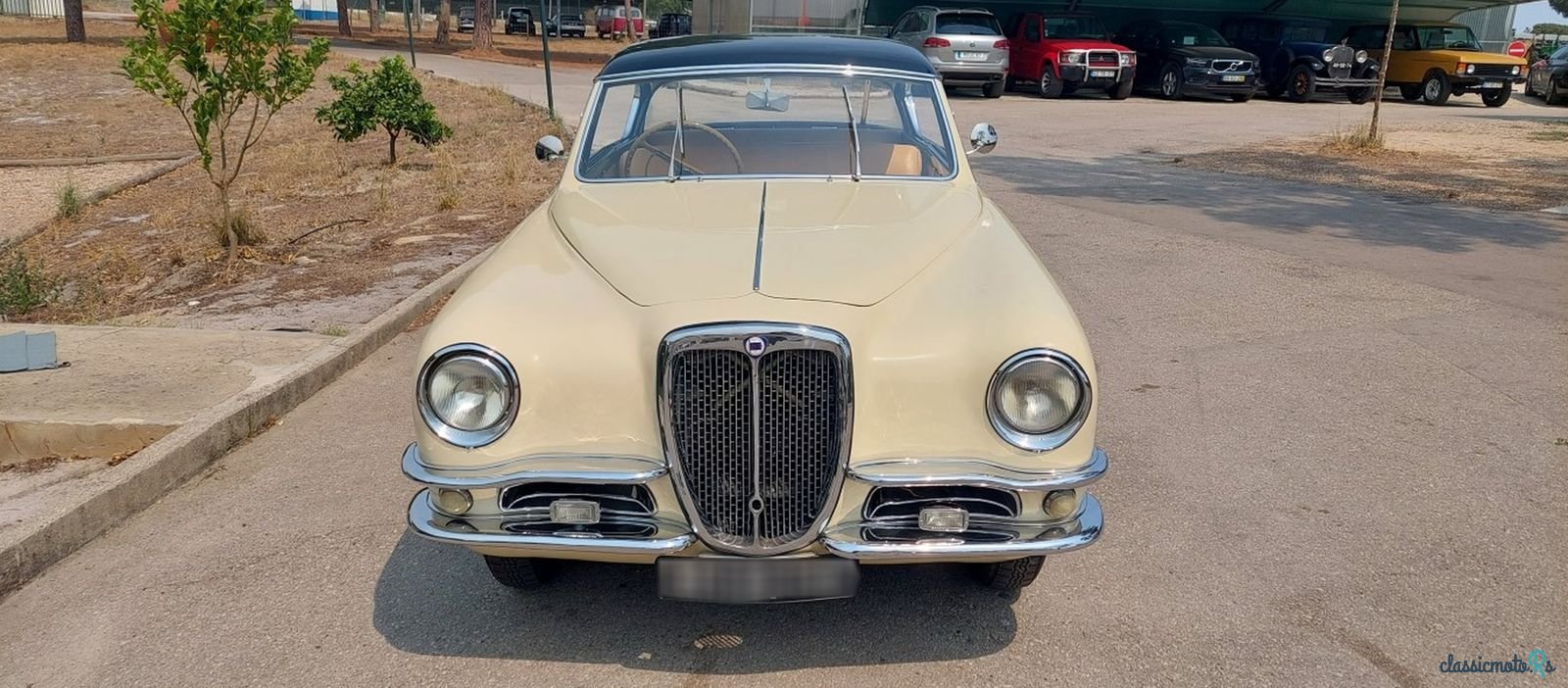 1952' Lancia Aurelia photo #5