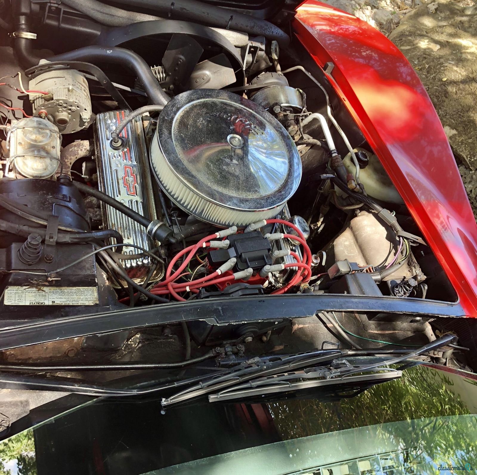 1979' Chevrolet Corvette photo #5