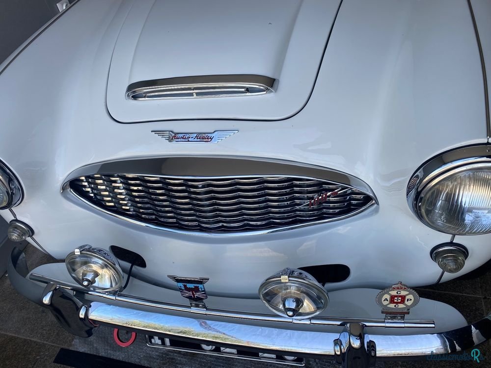 1959' Austin-Healey 3000 photo #1