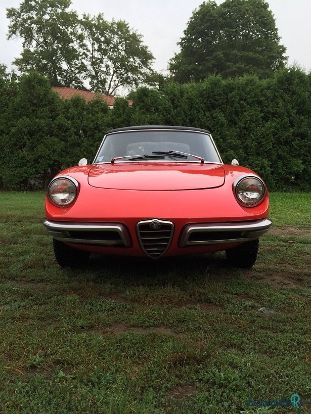 1967' Alfa Romeo Spider 1600 photo #3