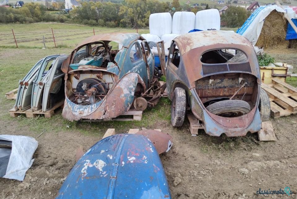 1951' Volkswagen Garbus photo #3