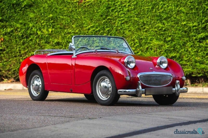 1959' Austin-Healey Sprite photo #1