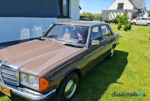 1979' Mercedes-Benz W123 photo #3