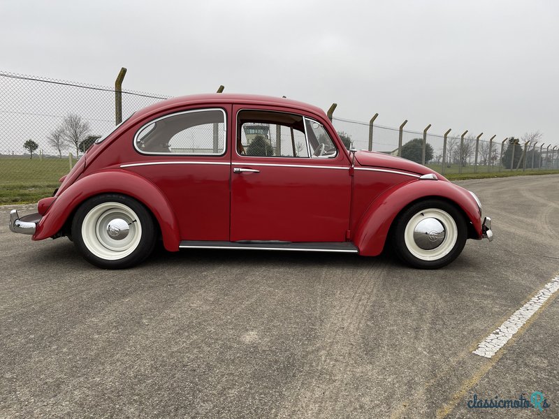 1965' Volkswagen Beetle photo #4