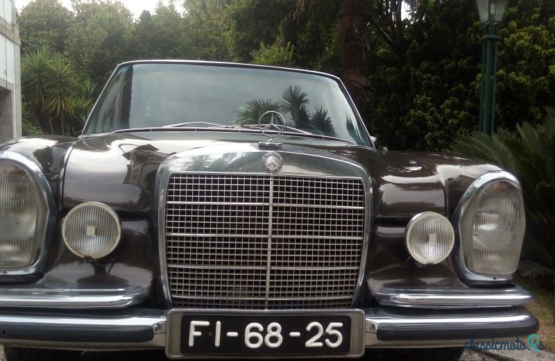 1971' Mercedes-Benz 280 photo #3