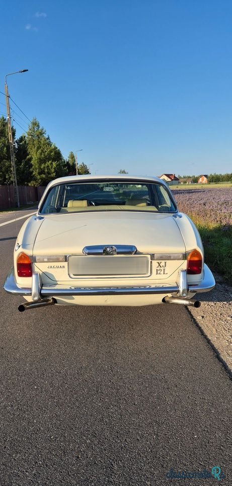 1977' Jaguar XJ photo #5
