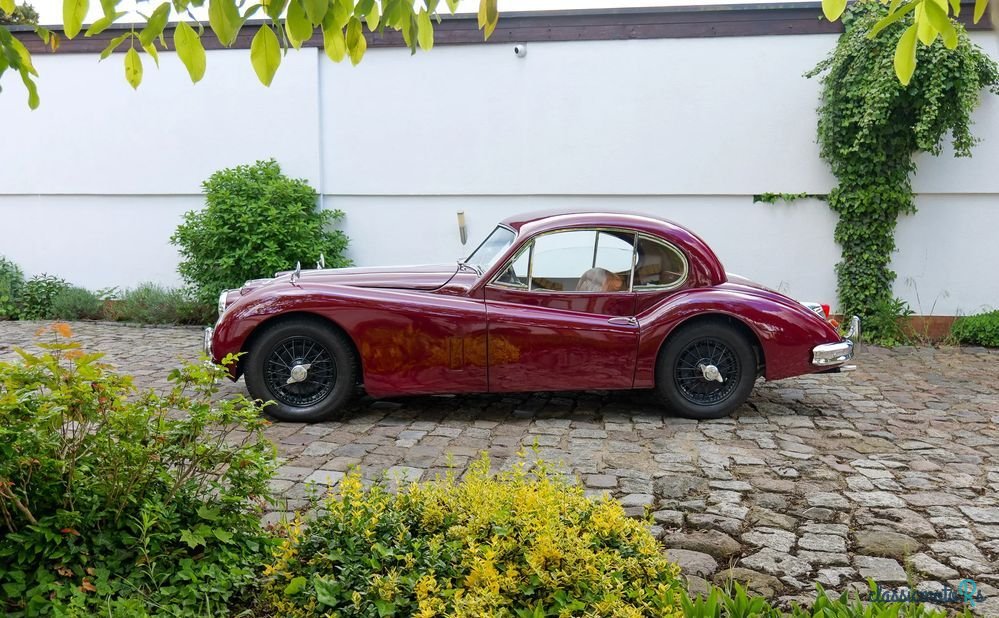 1955' Jaguar XK photo #3