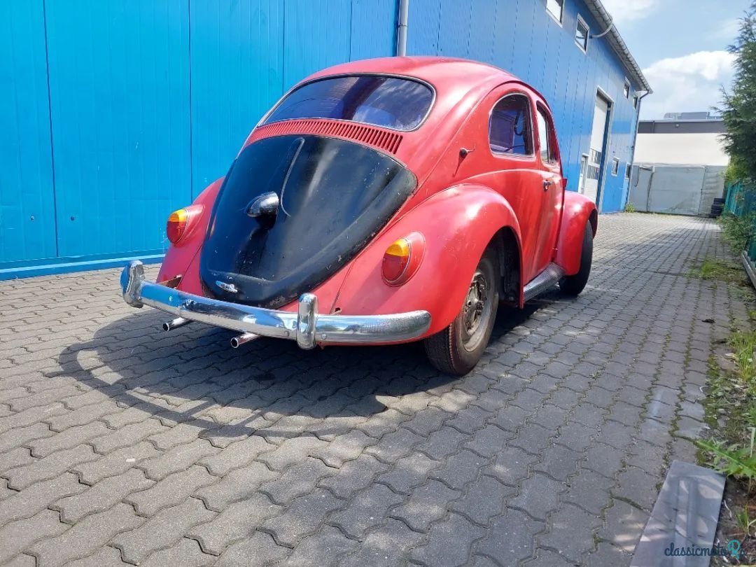 1959' Volkswagen Garbus photo #4