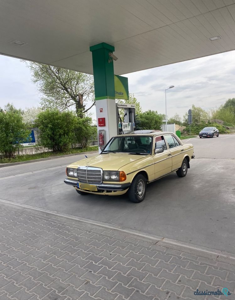 1977' Mercedes-Benz W123 photo #1