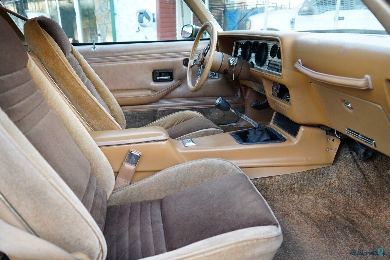 1979' Pontiac Firebird photo #4