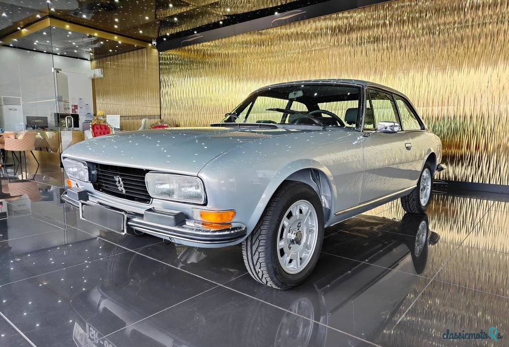 1977' Peugeot 504 photo #5
