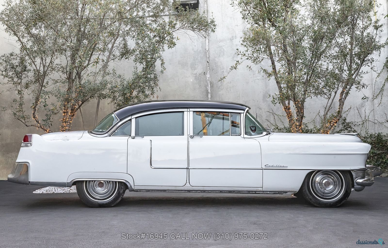1955' Cadillac photo #2