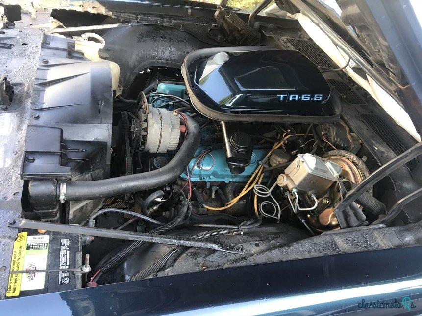 1979' Pontiac Trans Am photo #6