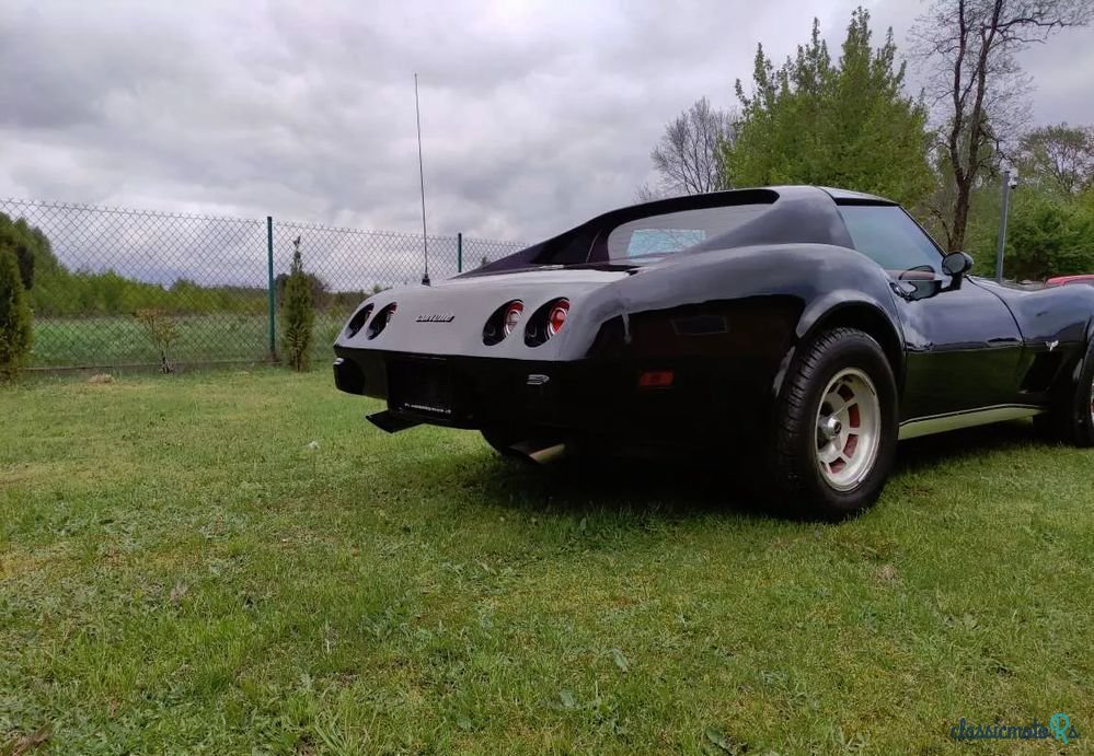 1977' Chevrolet Corvette photo #5