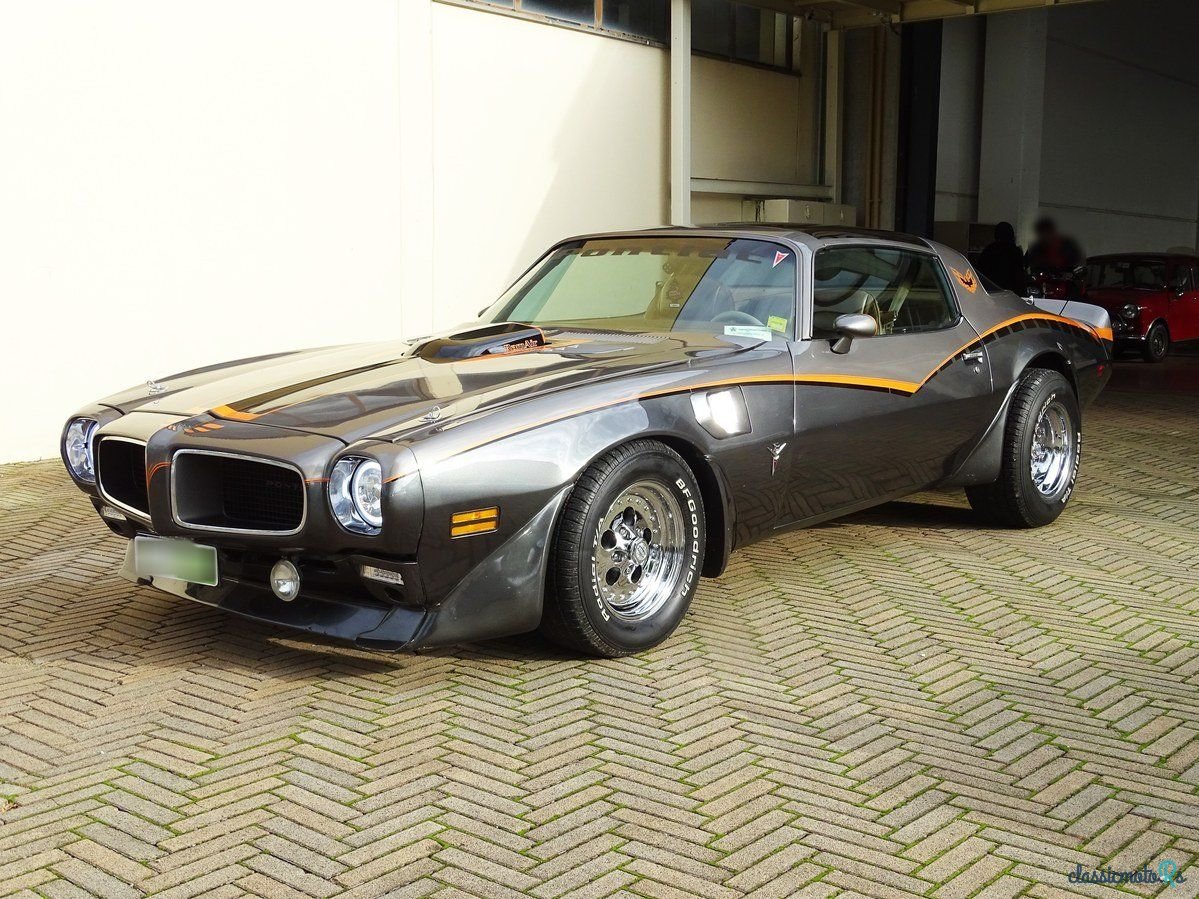 1979' Pontiac Firebird photo #1