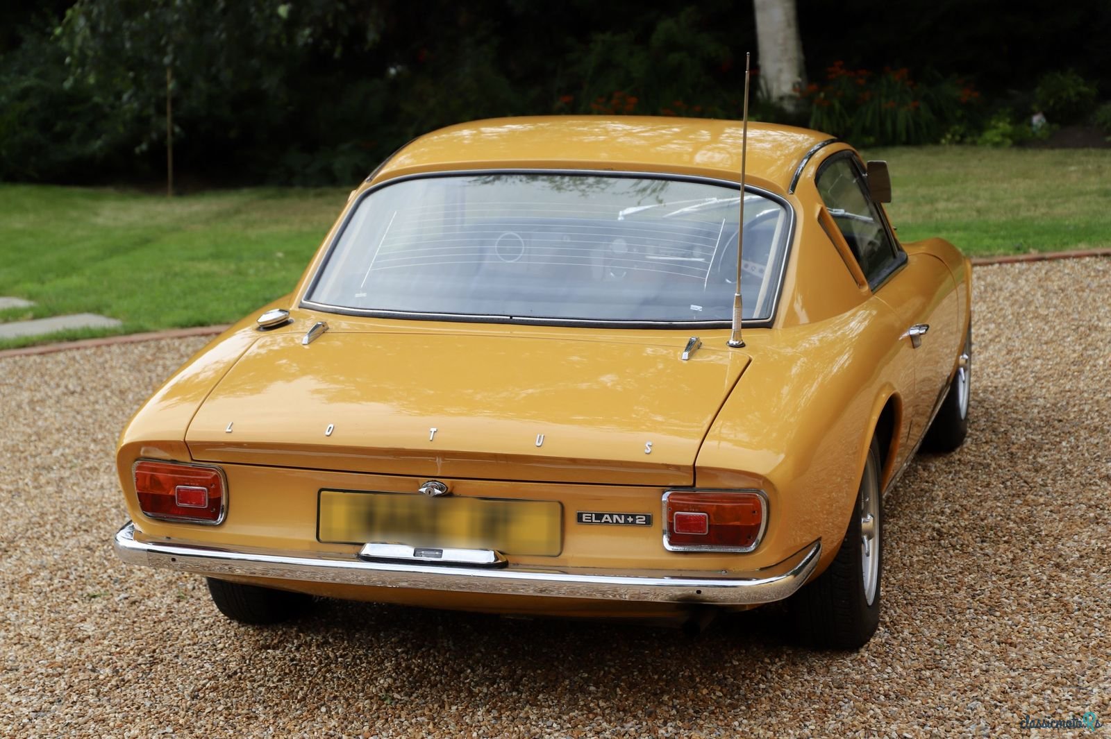1967' Lotus Elan photo #6