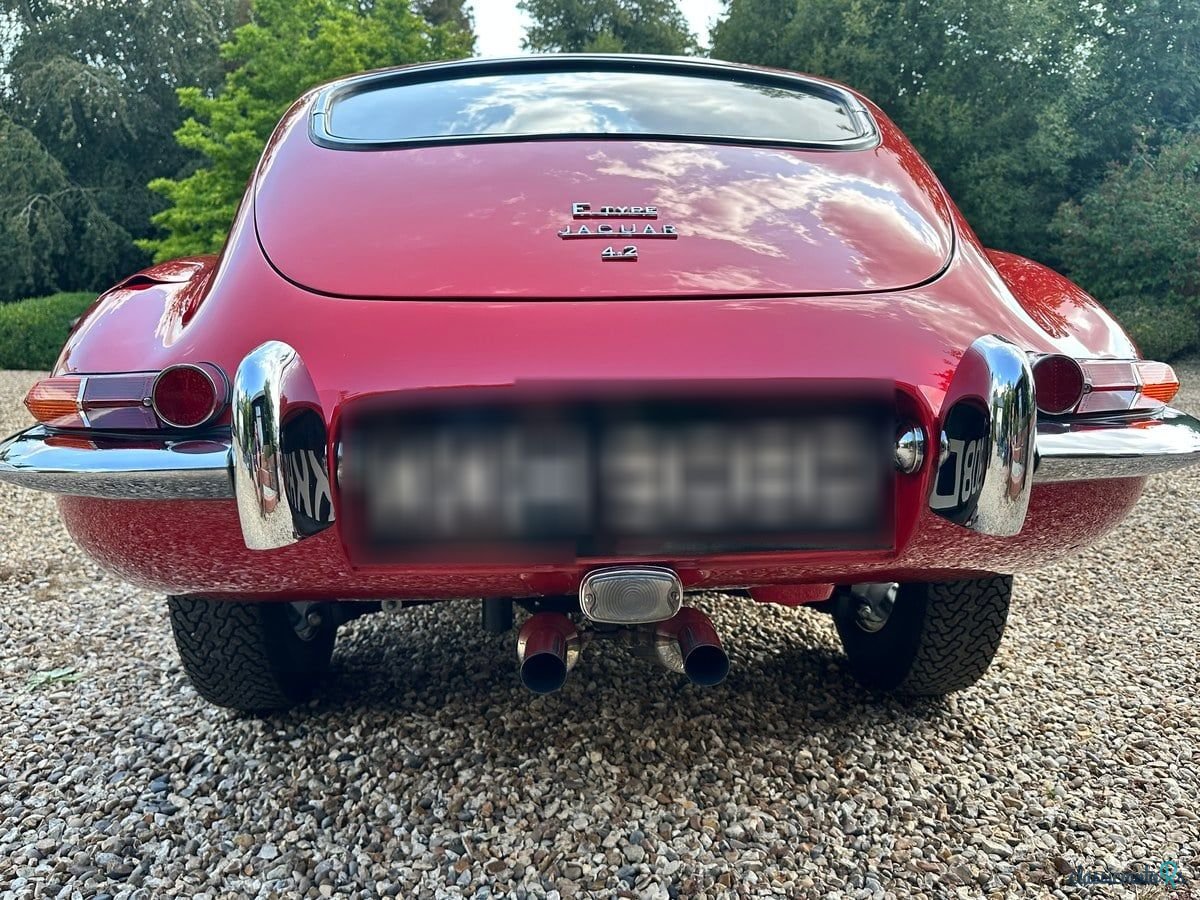 1966' Jaguar E-Type photo #5