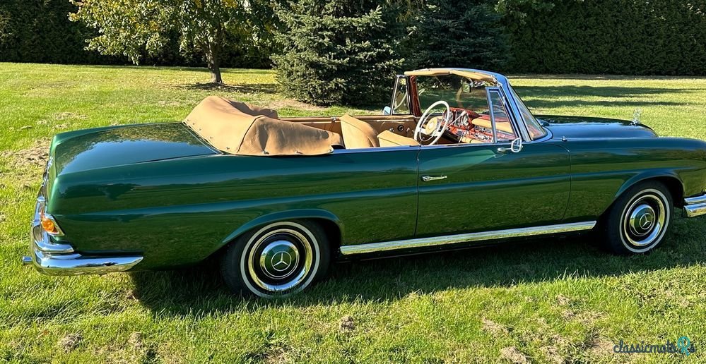 1965' Mercedes-Benz 220 SEB photo #6