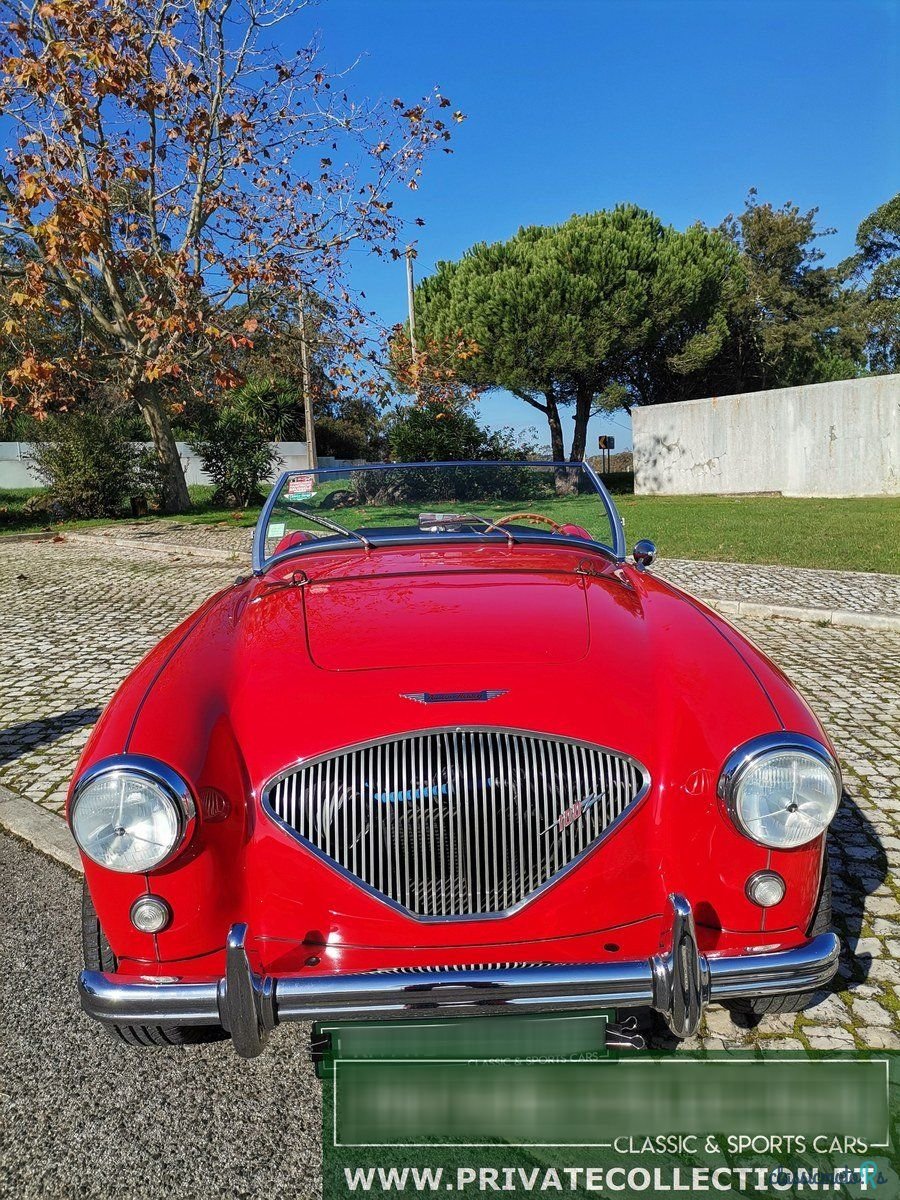 1955' Austin-Healey 100 photo #2